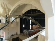 Célegyenesben, de jócskán van még tennivaló…