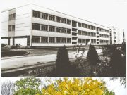 Szentes arculata régen és ma…