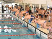 Hódmezővásárhelyen bővíthetik érmeik számát a Delfinek…