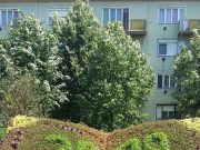 Új „könyvet” kapott a Könyvtárunk!!!!…