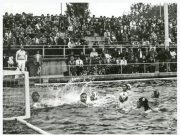 Szentes arculata régen és ma: 33 méteres és 50 éves – medence-sztorik a ligetből…