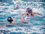 Közeleg a nyár, már lehet jelentkezni a Szentesi VK vízilabdás táborába!…