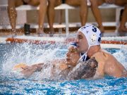 Képgaléria férficsapatunk utolsó bajnoki meccséről. Metalcom Szentes Vasas 7…