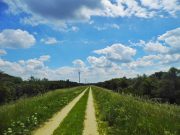 Szentes és környékének természeti kincsei…