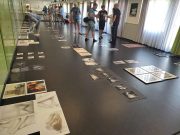 Pillanatképek a Szentesi Művelődési Központ életéből!…