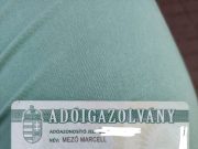 A Városi Gyereknap végén 19,30 órakor a Kossuth téren találtuk meg Mező Marcell …