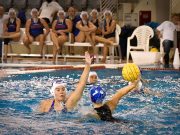 Huszonhárom gólt szerzett a Hungerit…