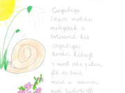 Mutasd a kézírásod pályázatunk pályamunkáit láthatták az Ifjúsági Ház ajtaj…