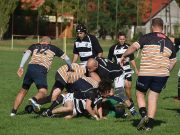 Fejet hajtottak a Kosok…