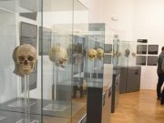 Saját őseink szemébe nézhetünk a Koszta József Múzeum új kiállításán – a legszebb régészeti leletek a hunoktól az Árpád-házig