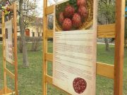 Húsvét a Szentesi Művelődési Központ szemszögéből. Köszönjük a Szentes TV riport…