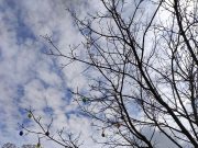 A Szentesi Művelődési Központ a mai napon azon dolgozott, hogy egy kis húsvéti h…