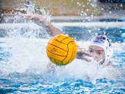 Képgaléria férficsapatunk Kaposvár elleni sikeréről. Metalcom Szentes Kapos…