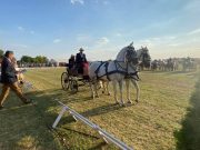 Irány az országos döntő…