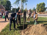 Aki fát ültet, bízik a jövőben…