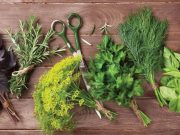 Zöldfűszerek a konyhában…