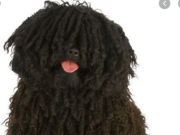 Miről nevezetes a mai nap? Sok-sok magyar gyermek és felnőtt kedve…