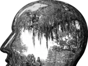 A 2020 novemberében meghirdetett: Színes Őszi Szentes, a Kurca szépsége fotópály…