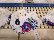 Megyei rangadó következik! #vízilabda #tippmix #MetalcomSzentes 18:00-tól kezd…