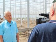 Versenyelőnyben a hazai paprikatermesztés…