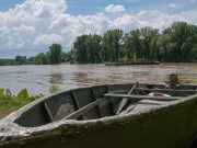 Robog a „SZENTESI FOKOS 2019″…