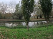 A panorámaképet 2020. november 16-án Vivi Nagy készítette….