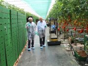 Vízhiány, élelmiszerhiány, árdrágulás: lehet-e tenni ellene kicsiben és nagyban?…