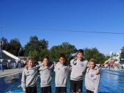 A delfinek és a cápák is remekeltek…