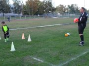 Edzői nyilatkozatok:…