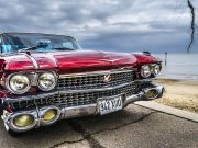 Kedves Érdeklődők!…