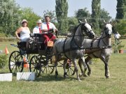 VIII. Dr. Polner Tibor Fogathajtó Emlékverseny…