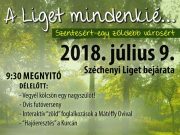 A Liget mindenkié……
