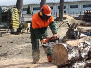 Fát vágni tudni kell!…