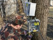 Fényt visznek az éjszakába…