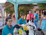 Mi is főztünk lecsót, és Tofi megörökítette. Köszönjük….