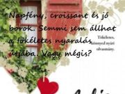 Kedvcsinálónak! A könyv rövid tartalmát a fotón lehet…