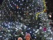 Felajánlott fenyők Szentesen…