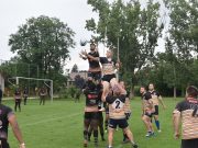 Újra úton a tojáslabda…