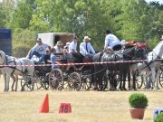 Fogathajtó verseny dr. Polner Tibor emlékére…