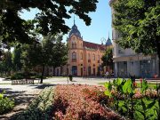 Virágszínvonalasabb Szentesért – augusztus 3-ig várják a pályázatokat…