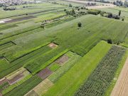 Elfogadták az osztatlan közös tulajdon megszüntetéséről szóló törvényt…