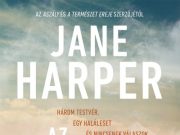 Könyvajánló: Az elveszett férfi…