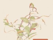 C.G. Jung írta az időskorról: Az ember lehetőséget kap a belső világa felfedezés…