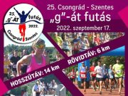 A hozzászólás lehetőségét kikapcsolták ennél a bejegyzésnél….