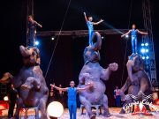 Porondon az Eötvös család…