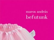 Mihez kezdjen a madarász, ha az a ritka madár, amelynek tanulmányozására feltett…