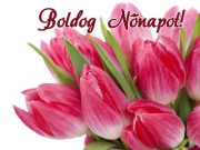 A nemzetközi nőnap a nők iránti tisztelet és megbecsülés kifejezésének napja, am…