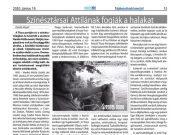 A hét legnépszerűbb cikke|44…