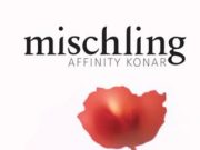 Mischling – a nürnbergi törvények így határozzák meg a részben árja, részben zsi…