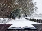 „Kinyitjuk a könyvet. A lapok üresek. Magunk írjuk a szavakat. A könyv címe „Leh…